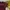 Champion Casual Sweater Pria burgundy photo 3
