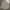 Kangol Streetwear Formal shirt Pria multicolor gray photo 6