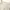 Y2K Coquette Blouse Wanita cream photo 4