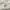 LEPSIM Vintage Casual Formal shirt Pria cream photo 5