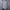 Nike Casual Sweatshirt Pria gray photo 1