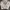 New Balance Avant Garde Puffer jacket Pria gray photo 1