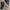 France Brand: TBS 1978 Casual Mid Sneakers #40 / 25cm photo 2