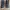 France Brand: TBS 1978 Casual Mid Sneakers #40 / 25cm photo 1
