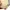 Kate Spade Indie Casual Crossbody Bag Wanita multicolor photo 4