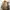 Head Streetwear Puffer jacket Pria tan photo 1