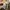 Head Streetwear Puffer jacket Pria tan photo 4