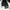 Streetwear Skater Hoody Pria white black photo 2