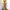 Pakaian adat Pakaian Nasional Wanita gold yellow photo 1