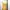 Pakaian adat Pakaian Nasional Wanita gold yellow photo 8