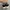 Adidas Casual Sneakers Pria white black photo 4