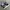 Adidas Casual Sneakers Pria white black photo 1