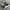 Adidas Casual Sneakers Pria White Black
