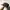 Alpha Industries Vintage Hat Pria green black photo 1