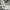 H&M Casual Baju bayi Kids white cream photo 1