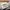 NIKE AIR JORDAN 1 LOW OXYGEN PURPLE photo 7