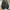 Converse Casual Sneakers Pria black photo 2