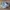 New Balance Streetwear Sportswear Sneakers Pria white navy photo 1