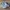 New Balance Streetwear Sportswear Sneakers Pria White Navy