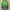 Casual Backpack Wanita green photo 1