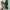 Puma Casual Casual shoe Pria green yellow photo 3