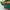 Puma Casual Casual shoe Pria green yellow photo 2