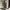 Realtree Streetwear Y2K Tracksuit Pria tan photo 3