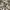 Realtree Streetwear Y2K Tracksuit Pria tan photo 2