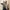 Brandy Melville Y2K Casual Cardigan Wanita navy blue photo 2