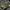 Hush Puppies Casual Wanita green photo 2