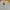 Teenie Weenie Vintage Casual Sweatshirt Wanita gray photo 3