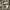 Japanese brand Streetwear Formal shirt Pria tan photo 4