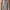 WHO.A.U Casual Hoody Pria tan photo 1