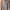 WHO.A.U Casual Hoody Pria Tan