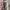 WHO.A.U Casual Hoody Pria tan photo 2
