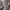 WHO.A.U Casual Hoody Pria tan photo 3
