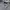 Champion Skater Sneakers Pria white photo 2