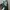 Adidas Casual Sneakers Pria white green photo 5