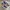 Nike Casual Sneakers Pria multicolor photo 1