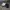 Adidas Streetwear Casual Sneakers Pria white black photo 2