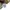 G-Star RAW Biker Bomber jacket Pria green photo 4