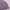 VANS Streetwear Casual T-shirt Wanita purple photo 2