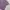 VANS Streetwear Casual T-shirt Wanita purple photo 6
