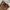 Y2K Coquette Corset Wanita pink brown photo 2