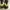 Dolce & Gabbana Luxury Sneakers Pria white black photo 5