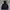 The North Face Gorpcore Casual Windbreaker Pria black photo 1