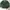 Casual Polo shirt Pria green tan photo 1