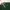 Casual Polo shirt Pria green tan photo 2
