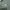 Casual Polo shirt Pria green tan photo 4