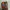 A Bathing Ape Luxury Hoody Pria multicolor photo 4